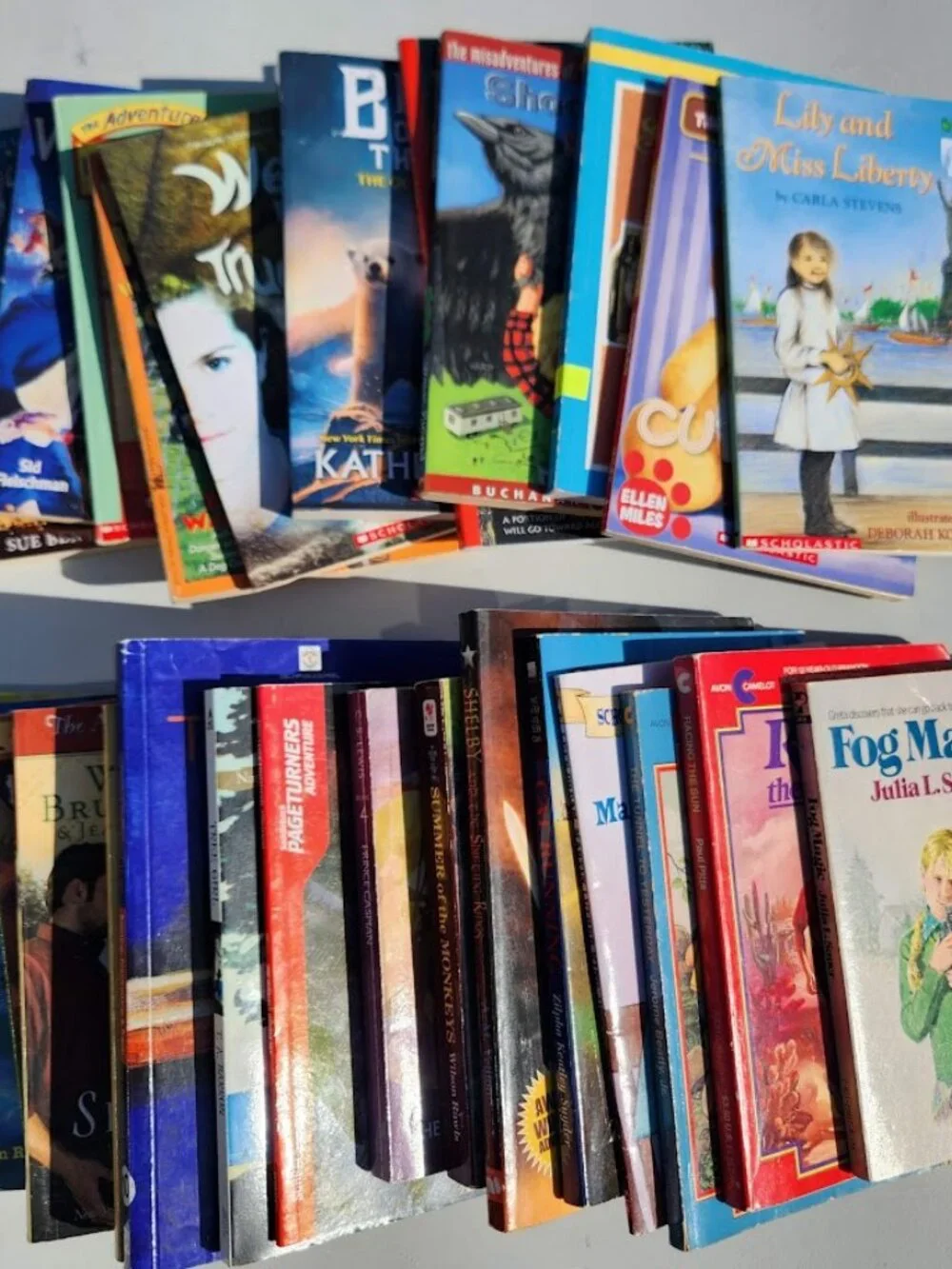 4 Book Bundle Lot Set Chapter Books Young Adult Literature Novels Mystery Books